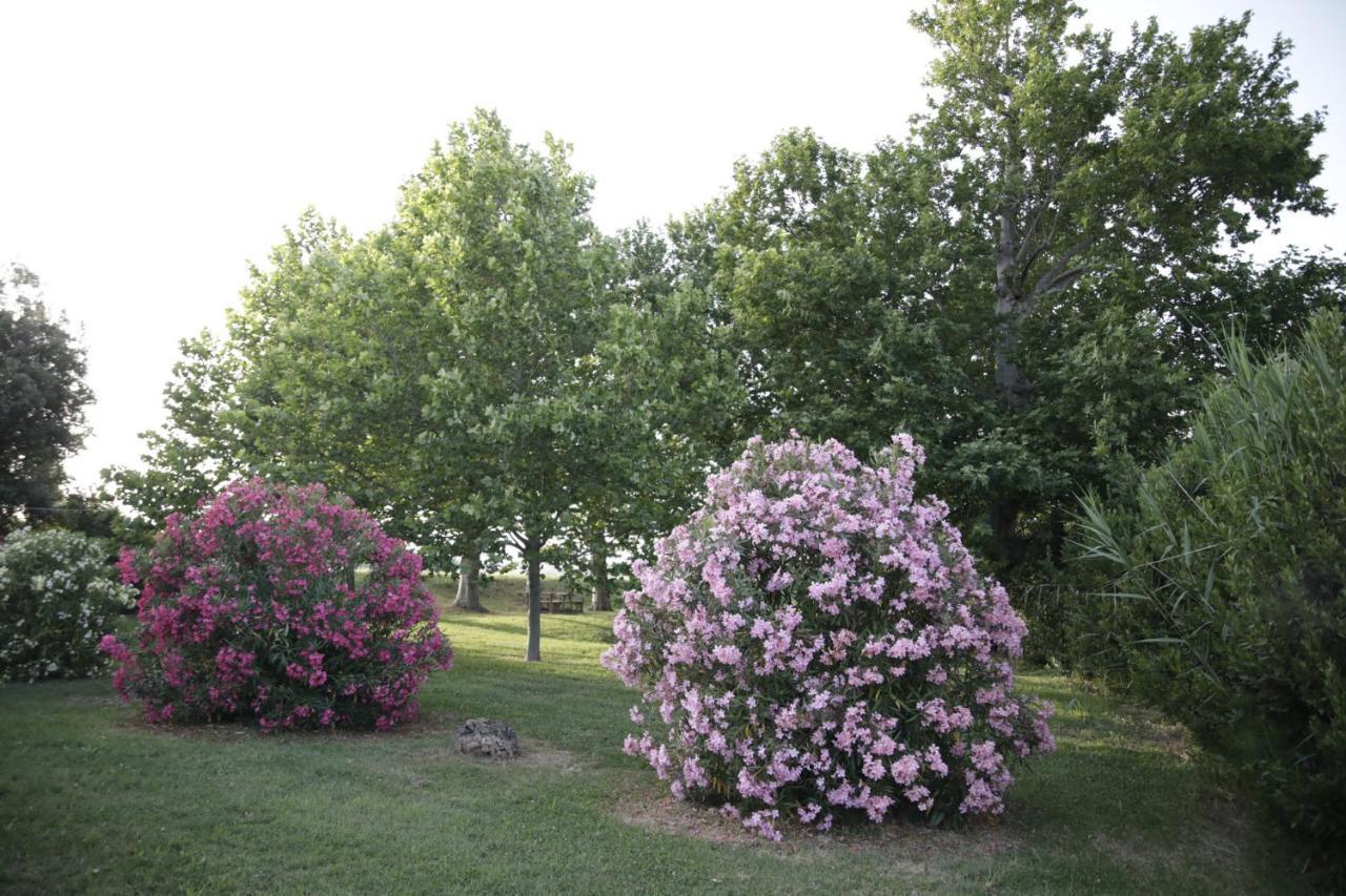 Agriturismo La Fonte Di San Girio Guest House Potenza Picena Luaran gambar