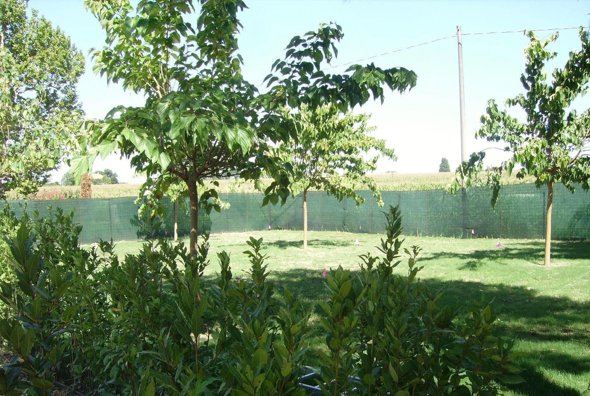 Agriturismo La Fonte Di San Girio Guest House Potenza Picena Luaran gambar